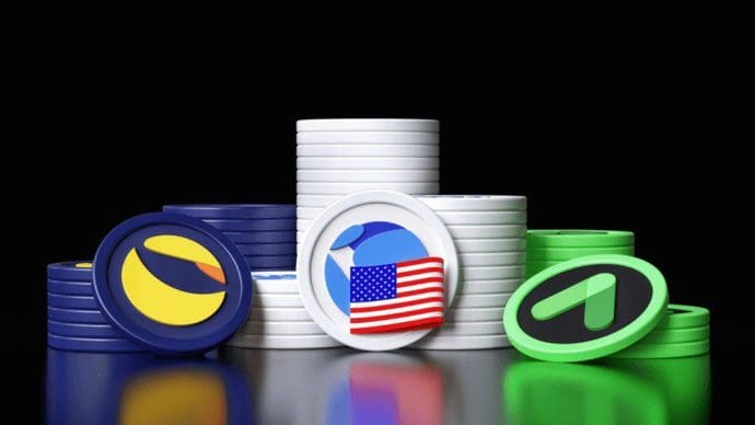 Le cofondateur de Luna condamné à une peine de prison après avoir plaidé coupable