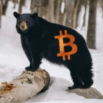 Quand le bear market du bitcoin prendra-t-il fin ? Un regard sur les données historiques