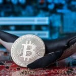 Les baleines Bitcoin perdent leur emprise sur le marché, selon de nouvelles données