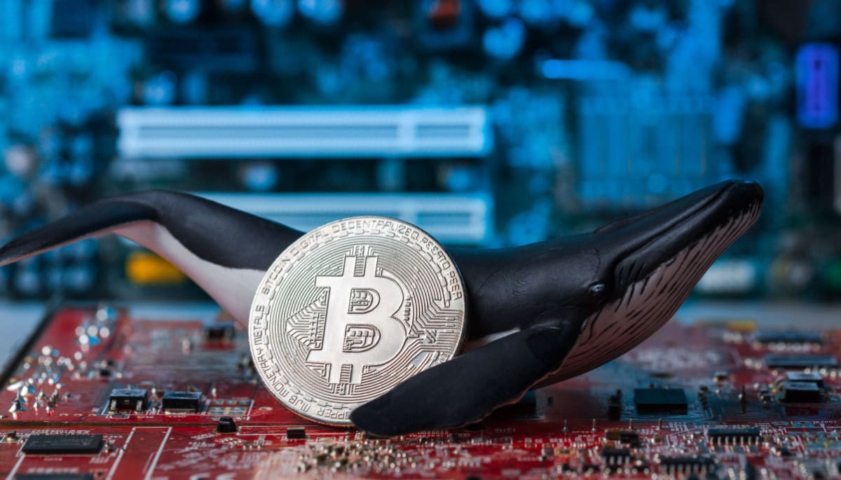 Les baleines Bitcoin perdent leur emprise sur le marché, selon de nouvelles données