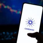 La plus grande partie des jetons Cardano est désormais entre les mains de mega-investisseurs