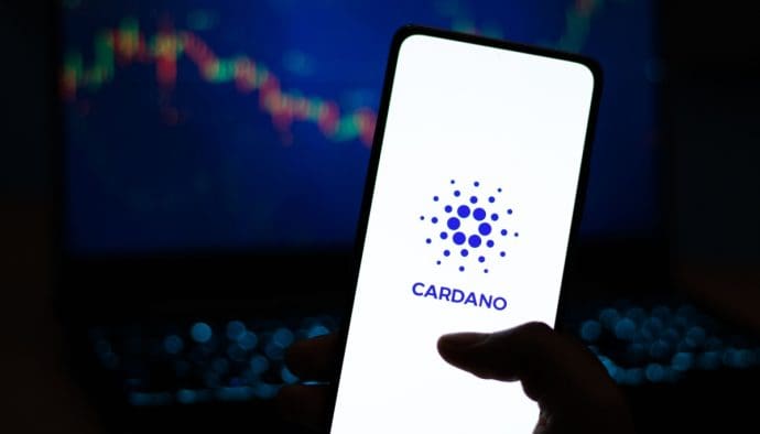 La plus grande partie des jetons Cardano est désormais entre les mains de mega-investisseurs