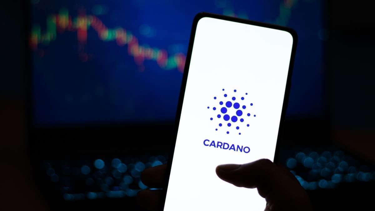 La plus grande partie des jetons Cardano est désormais entre les mains de mega-investisseurs