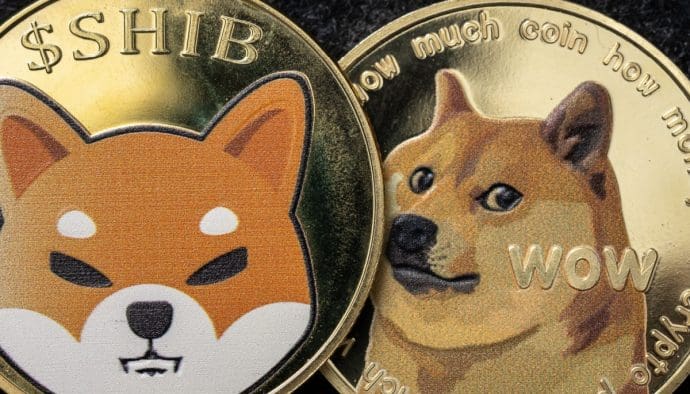 Que peut-on encore attendre des cours de Shiba Inu et de Dogecoin ?
