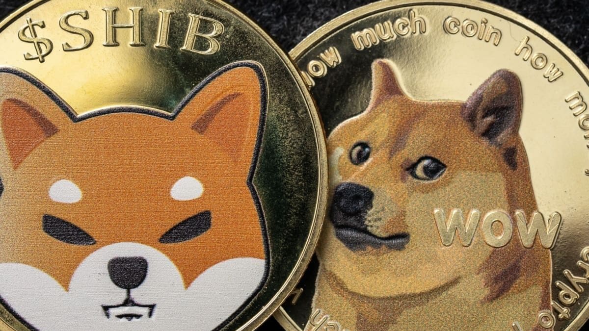 Que peut-on encore attendre des cours de Shiba Inu et de Dogecoin ?