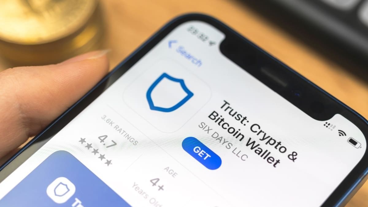 Panique chez les détenteurs de crypto : les soldes affichent soudainement zéro