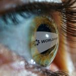 Worldcoin s'effondre : sa propre fondation vend pour 57 millions d'euros de crypto