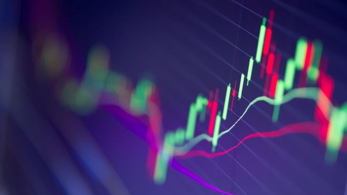 Crypto Radar : Le Bitcoin s'envole à l'occasion d'un Thanksgiving vert