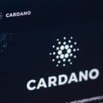 Le cours de Cardano recule : voici les niveaux clés à surveiller