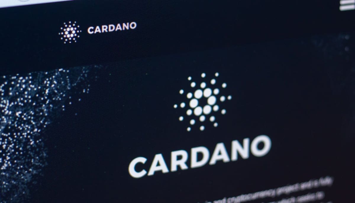 Le cours de Cardano recule : voici les niveaux clés à surveiller