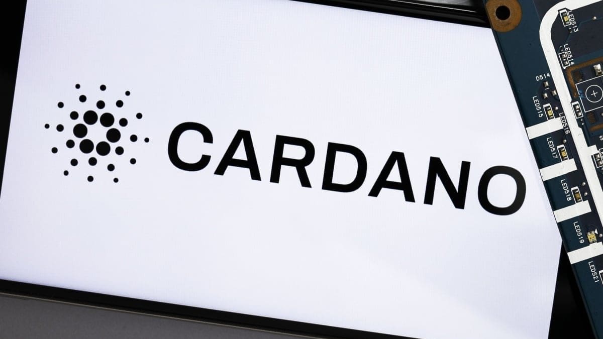 Analyste : « Cardano est le réseau le plus inutile du marché crypto »