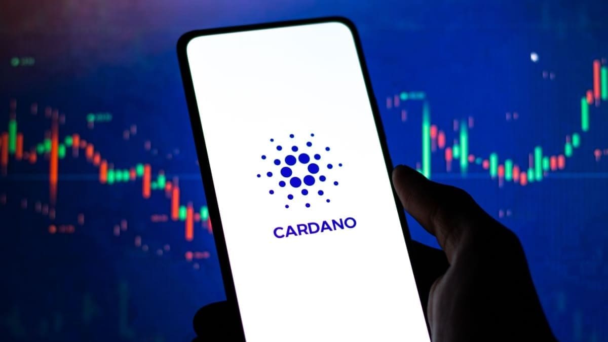 230 millions de Cardano déplacés par de grands investisseurs