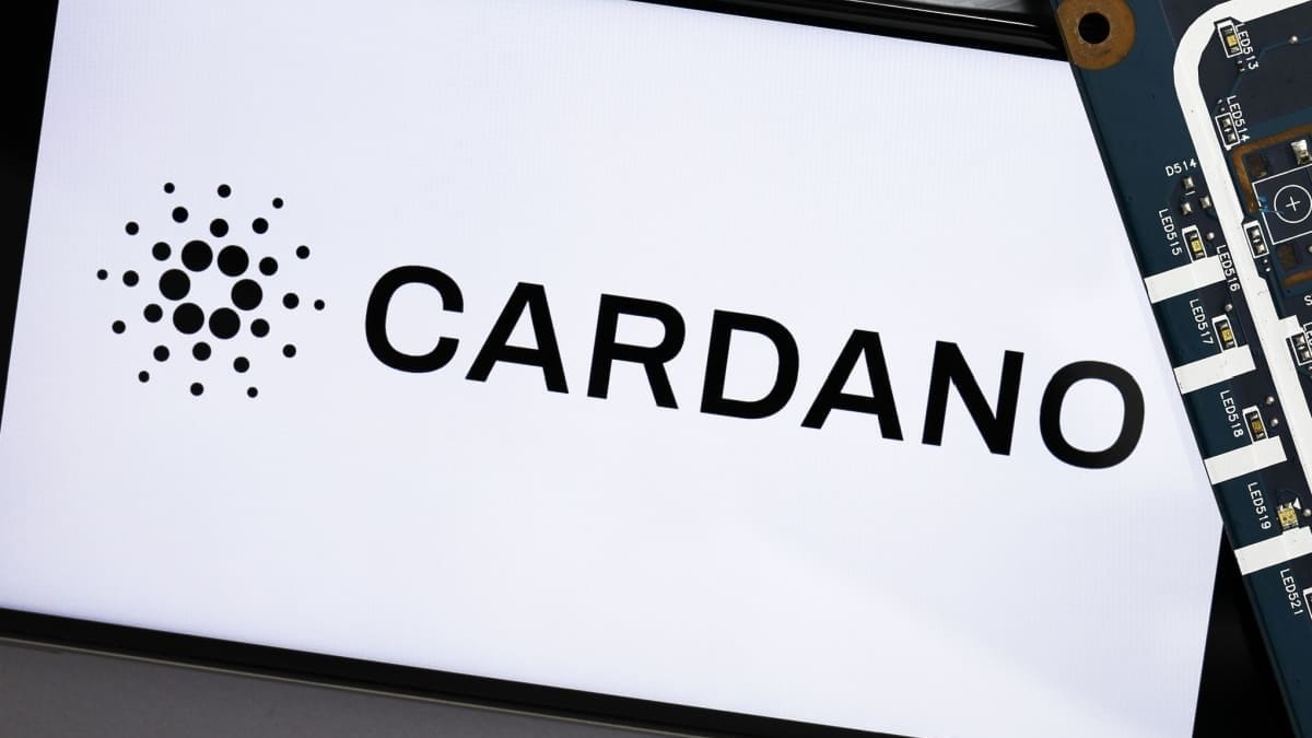 Cardano vendu dans la panique : les gros investisseurs saisissent l’occasion