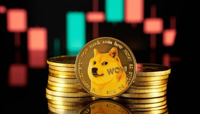 De grandes fortunes achètent 310 millions de DOGE, hausse du cours prévue