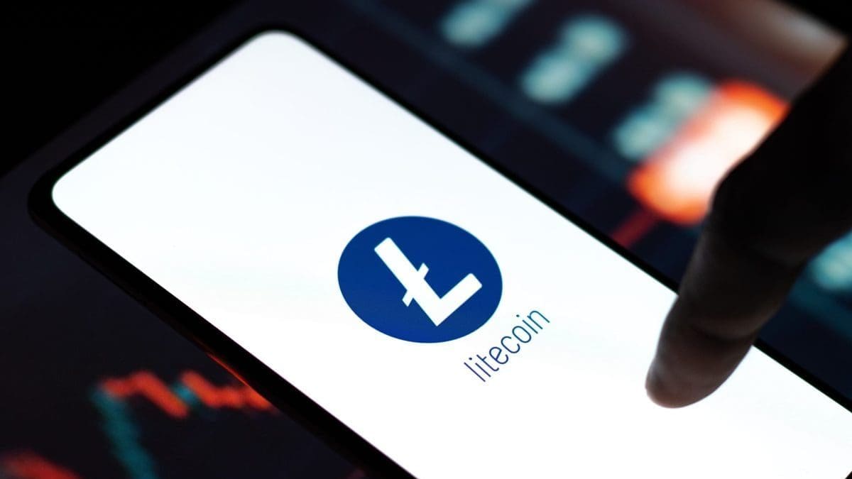 Les grands investisseurs ach&egrave;tent massivement du litecoin tandis que le cours continue de baisser