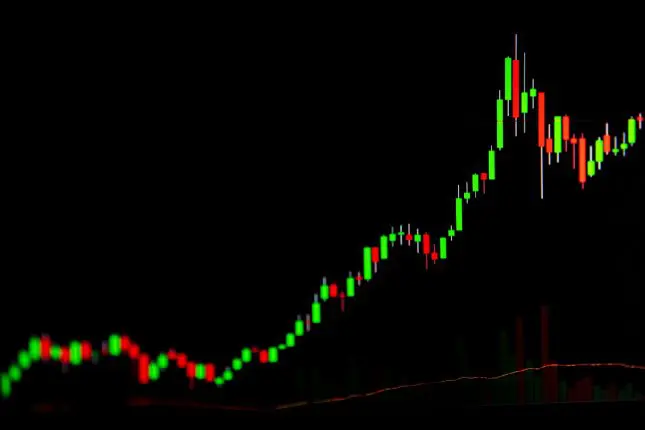 Pepe +42 % et Moo Deng +170 % : les memecoins en pleine explosion