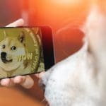 Pourquoi le Dogecoin grimpe-t-il autant aujourd’hui ?