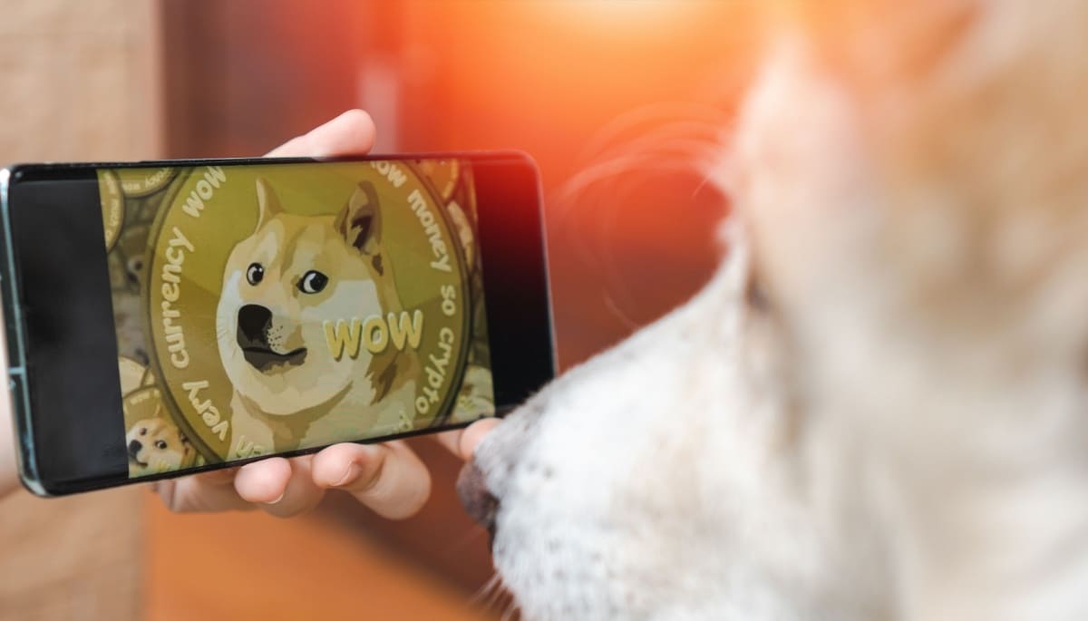 Pourquoi le Dogecoin grimpe-t-il autant aujourd’hui ?