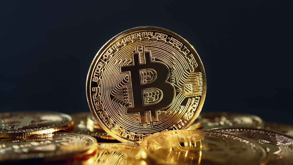 Achat massif : les gros investisseurs s’emparent de 65 000 bitcoins