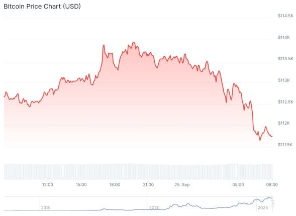 Bitcoin dans la tourmente : les petits et grands investisseurs perdent confiance