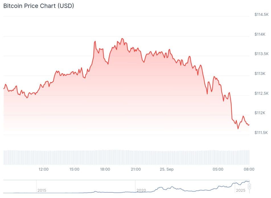 Bitcoin dans la tourmente : les petits et grands investisseurs perdent confiance