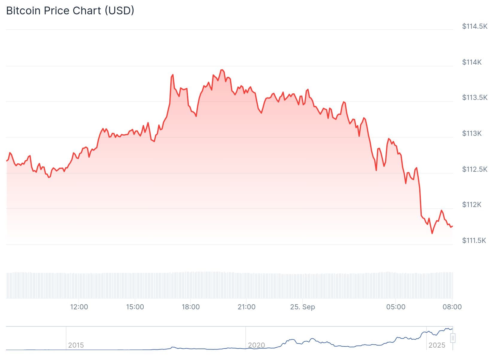 Bitcoin dans la tourmente : les petits et grands investisseurs perdent confiance