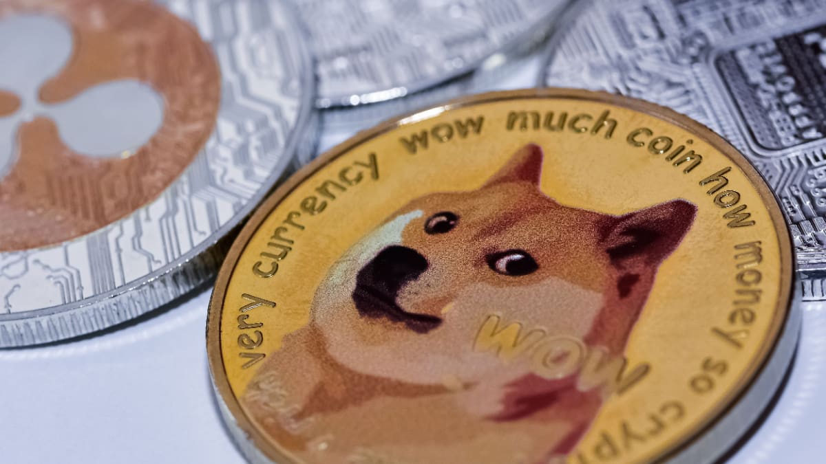 Voici pourquoi le XRP et le Dogecoin sont actuellement dans le vert