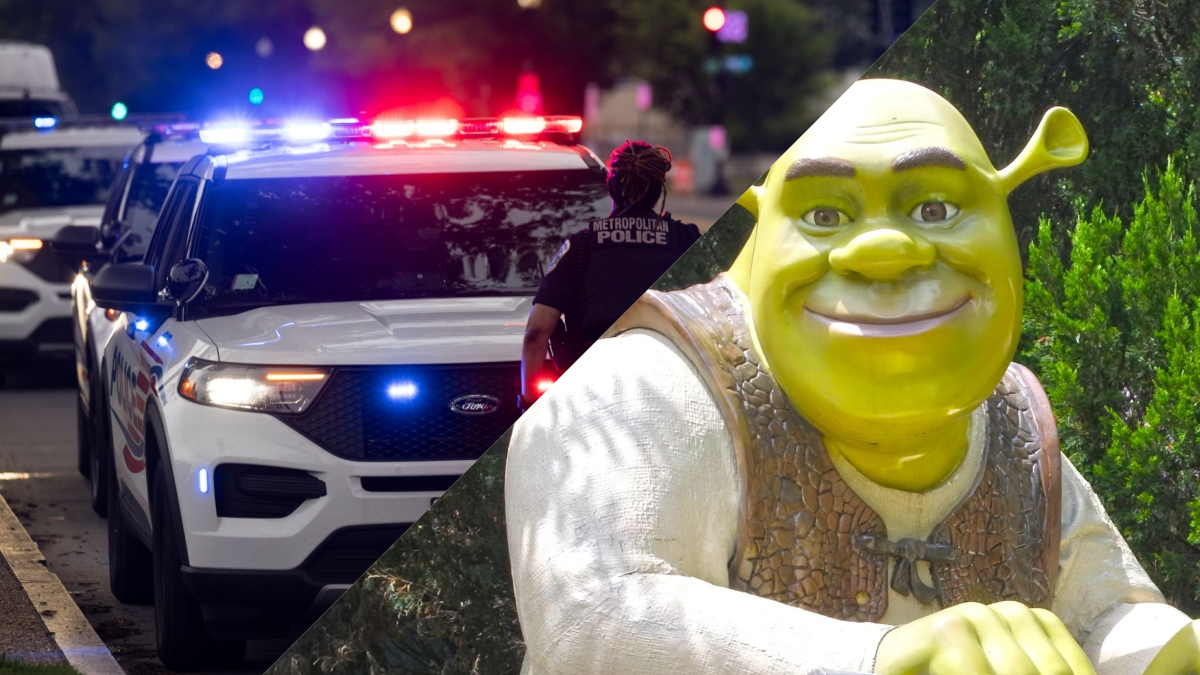 “Shrek” au centre d’une fraude crypto de plusieurs millions