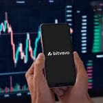 Après une envolée de 300 %, les utilisateurs de Bitvavo se ruent sur cette cryptomonnaie, mais un détail interpelle