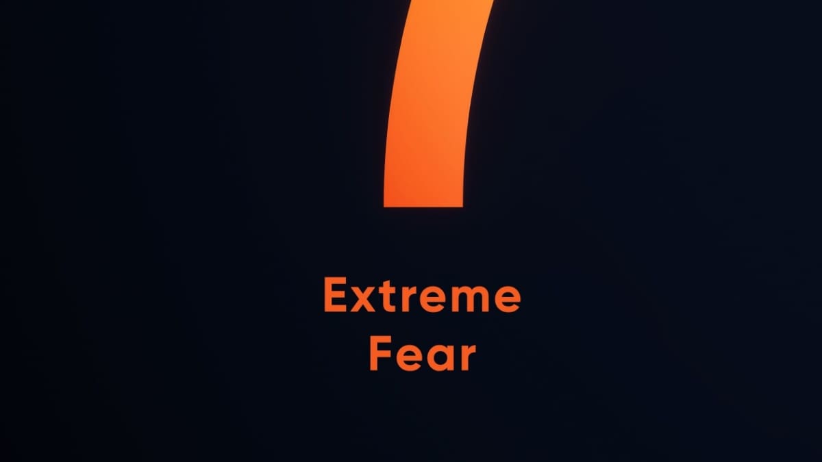 Peur extrême sur le marché crypto : les investisseurs regardent ce « thermomètre »