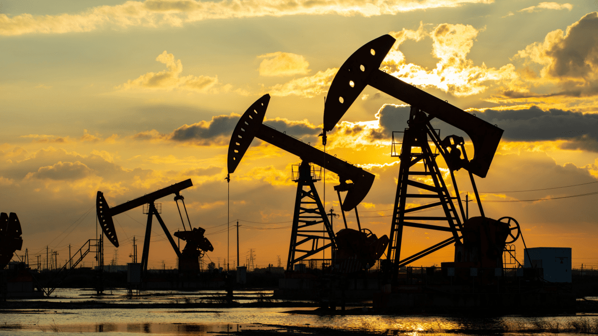 Le bitcoin défie une crise pétrolière historique et laisse entrevoir un plancher attendu