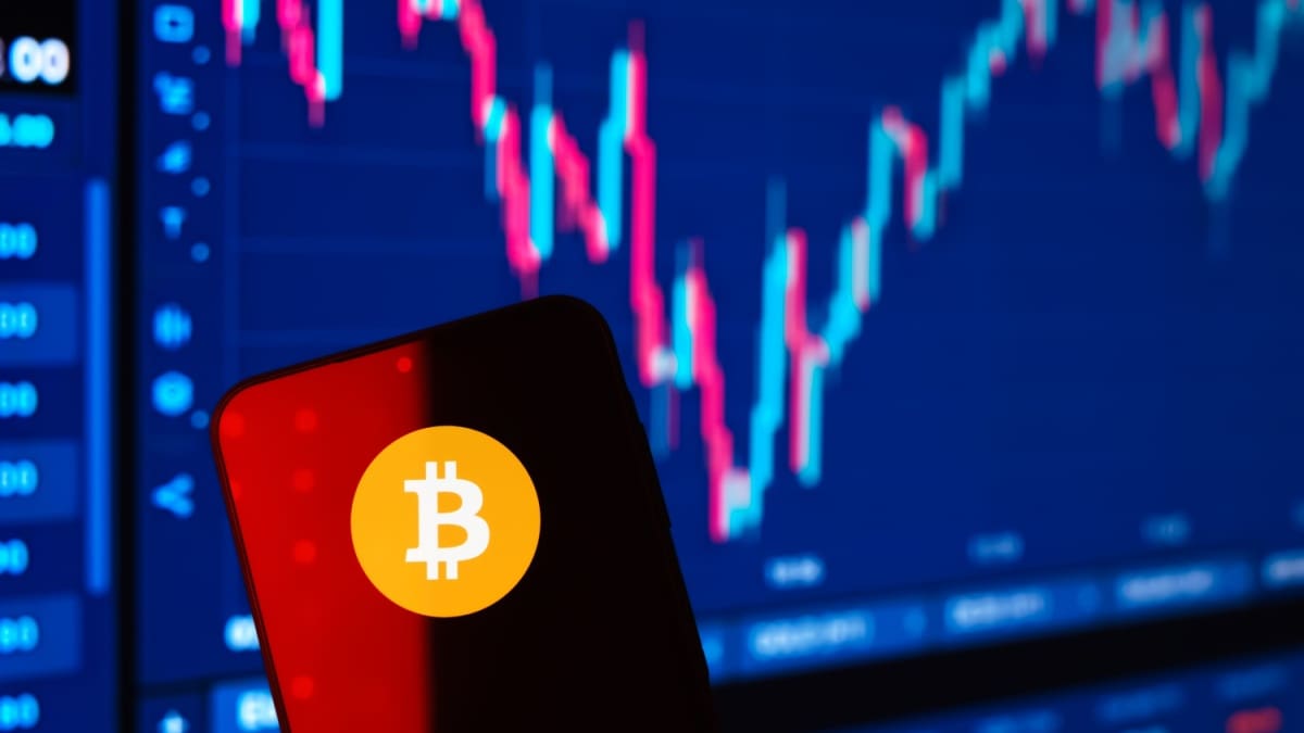 Bitcoin : les « whales » lèvent le pied, activité au plus bas depuis des mois