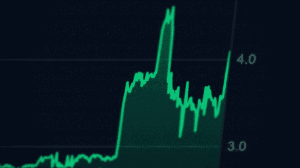 Bitcoin atteint les 79 000 dollars, tout le marché crypto passe au vert