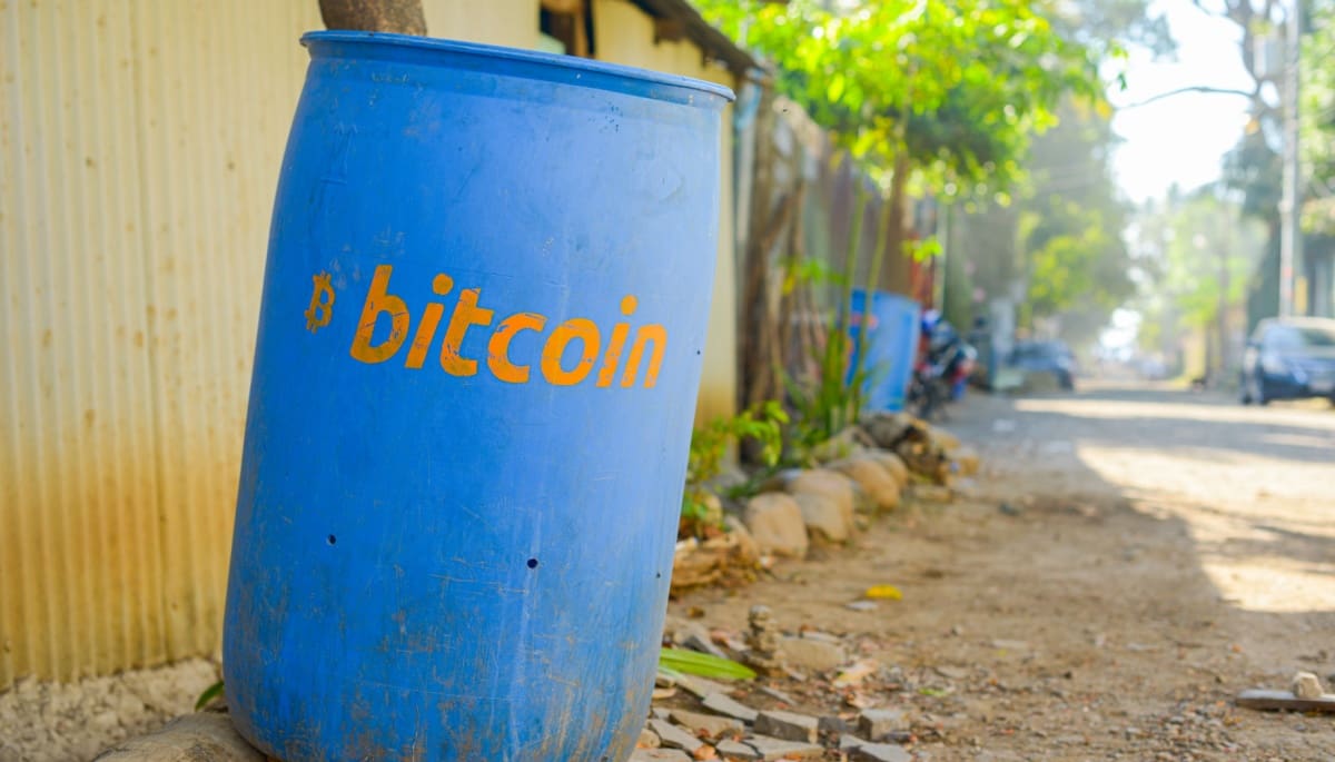 Expert financier : « Le plus grand rallye crypto de l’année arrive cet été »