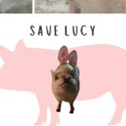 #savelucy-LUCY